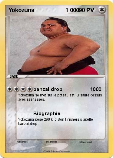 Pokemon Yokozuna                    1 000