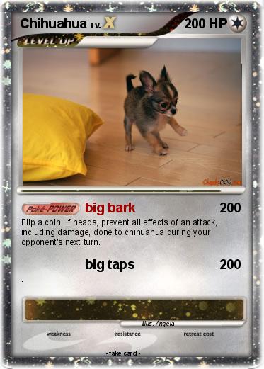 Pokemon Chihuahua