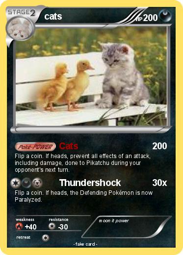 Pokemon cats