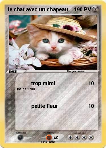 Pokemon le chat avec un chapeau