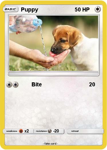 Pokemon Puppy