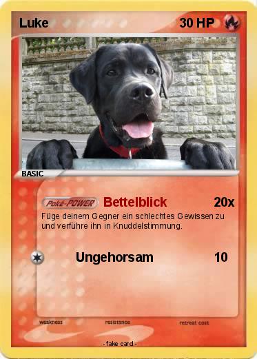 Pokemon Luke