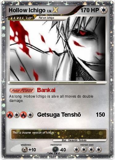 Pokemon Hollow Ichigo