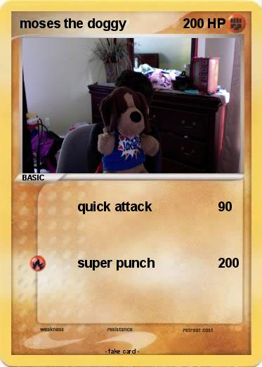 Pokemon moses the doggy