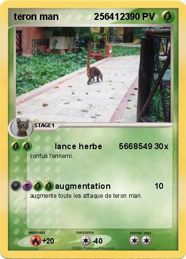 Pokemon teron man              2564123   