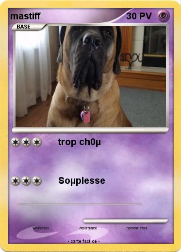 Pokemon mastiff