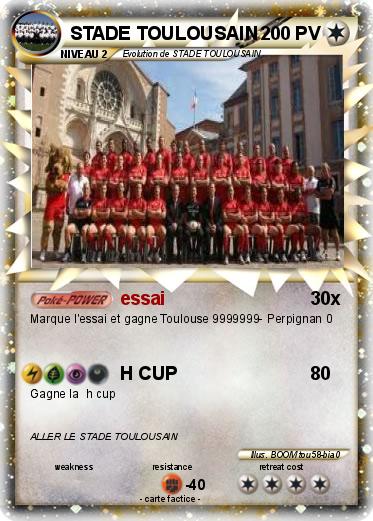 Pokemon STADE TOULOUSAIN