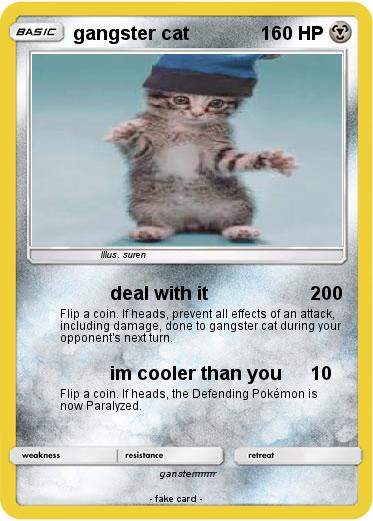 Pokemon gangster cat