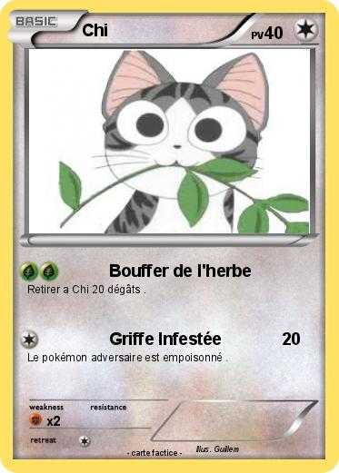 Pokemon Chi