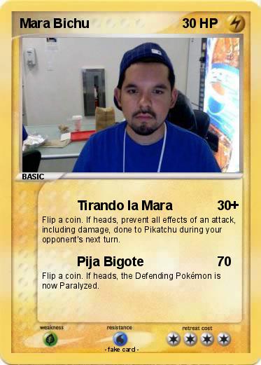 Pokemon Mara Bichu