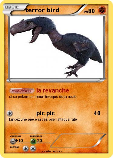 Pokemon terror bird