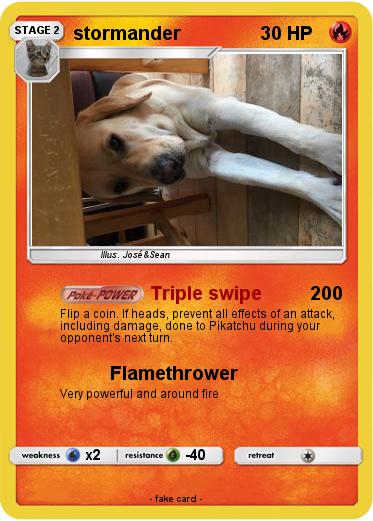 Pokemon stormander