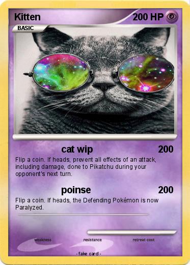 Pokemon Kitten