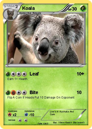 Pokemon Koala