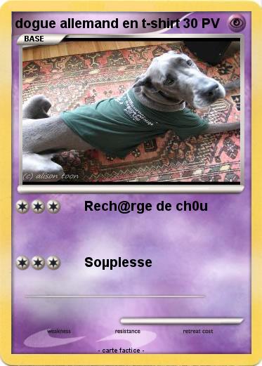 Pokemon dogue allemand en t-shirt