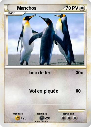 Pokemon Manchos