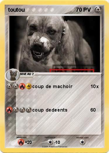Pokemon toutou