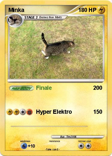 Pokemon Minka