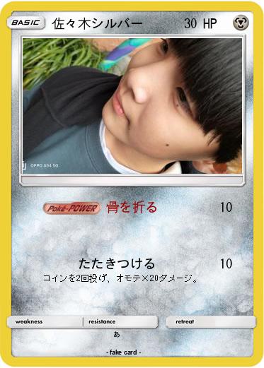 Pokemon 佐々木シルバー