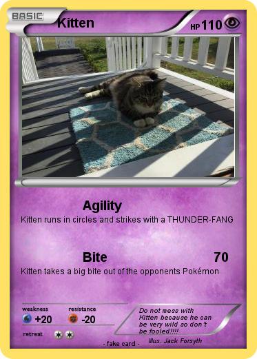 Pokemon Kitten