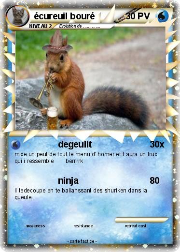 Pokemon écureuil bouré