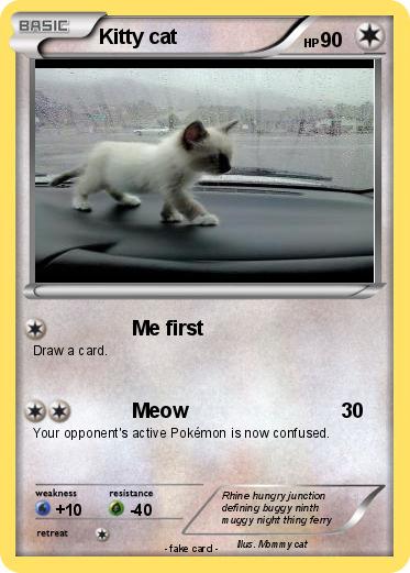 Pokemon Kitty cat