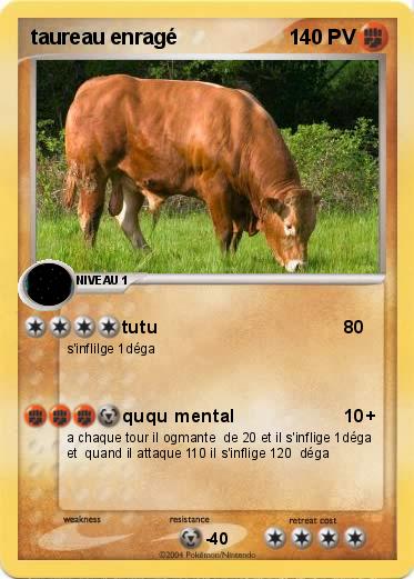 Pokemon taureau enragé