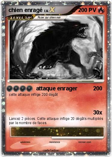 Pokemon chien enragé