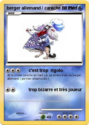 Pokemon berger allemand / caniche fat chef