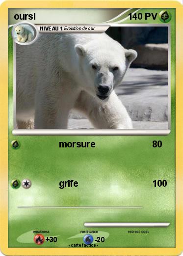 Pokemon oursi