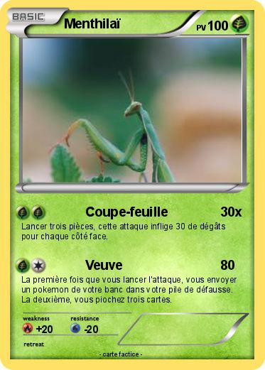 Pokemon Menthilaï