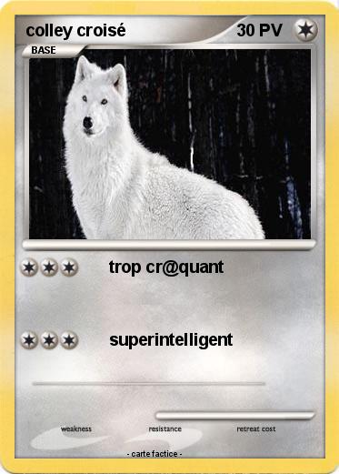 Pokemon colley croisé