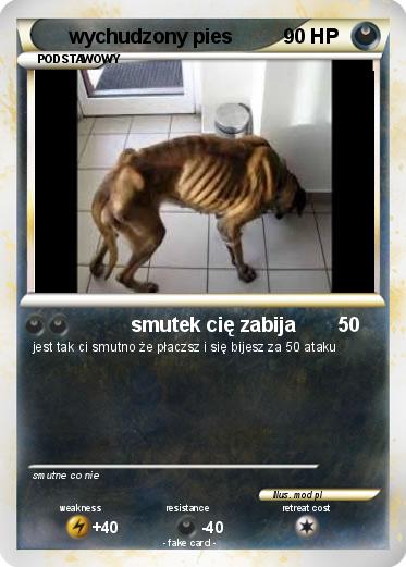 Pokemon wychudzony pies