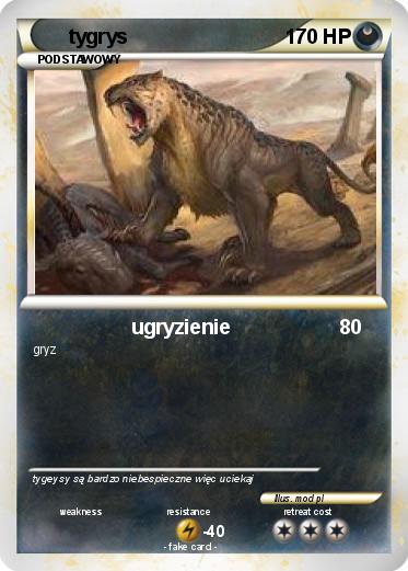 Pokemon tygrys
