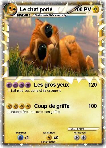 Pokemon Le chat potté