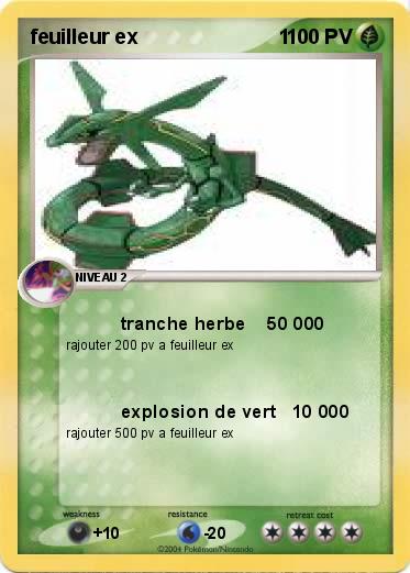 Pokemon feuilleur ex                         1