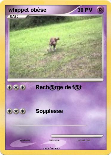 Pokemon whippet obèse