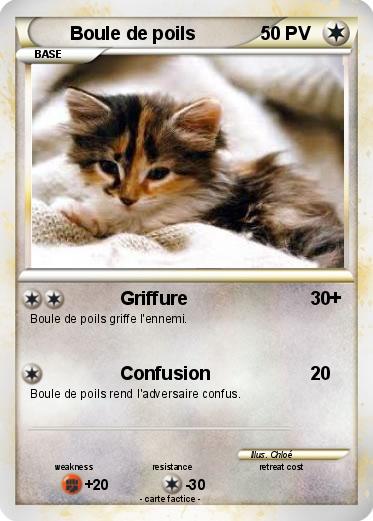 Pokemon Boule de poils