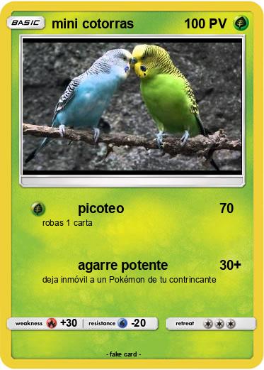 Pokemon mini cotorras