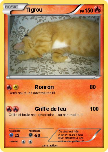 Pokemon Tigrou