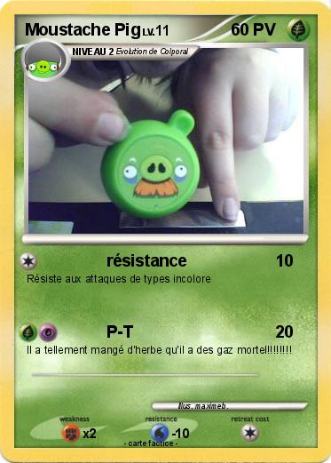 Pokemon Moustache Pig
