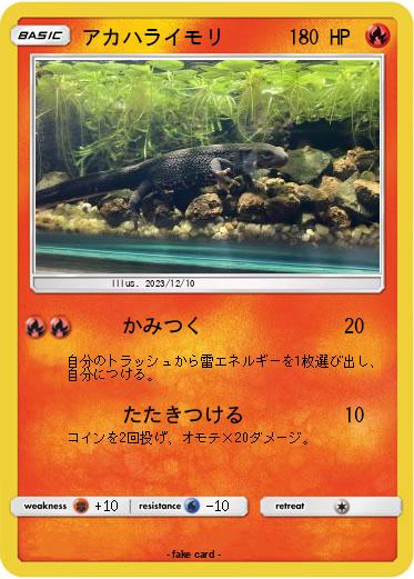 Pokemon アカハライモリ