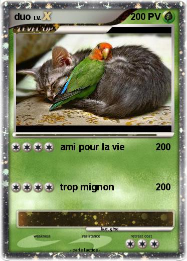 Pokemon duo