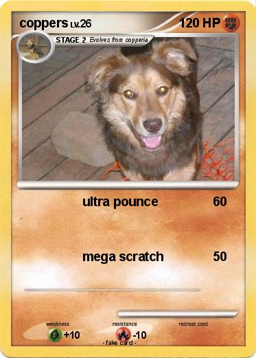 Pokemon coppers