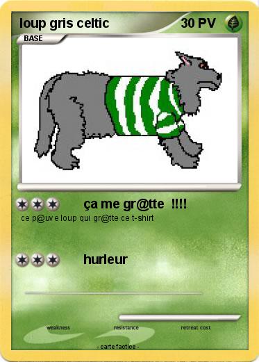 Pokemon loup gris celtic