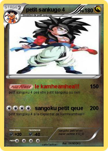 Pokemon petit sankugo 4