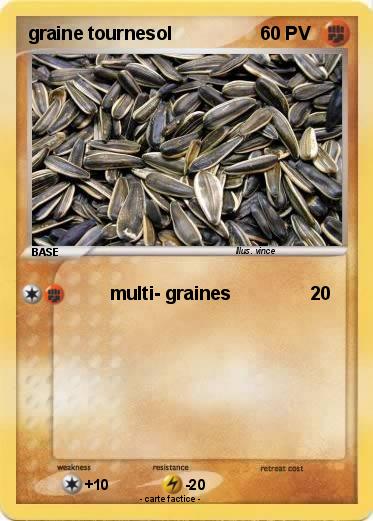 Pokemon graine tournesol