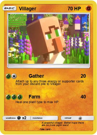 Pokemon Villager