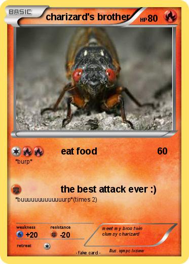 Pokemon charizard's brother