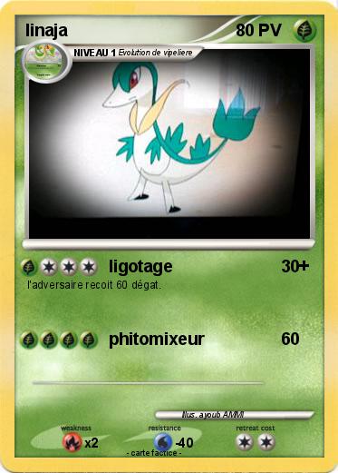 Pokemon linaja